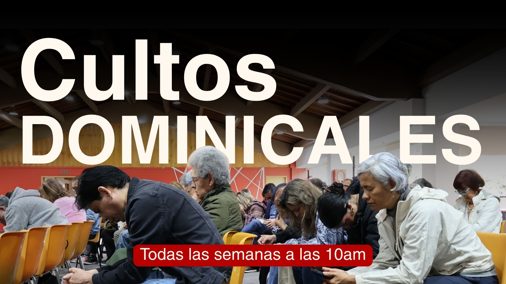 Culto/Punto e